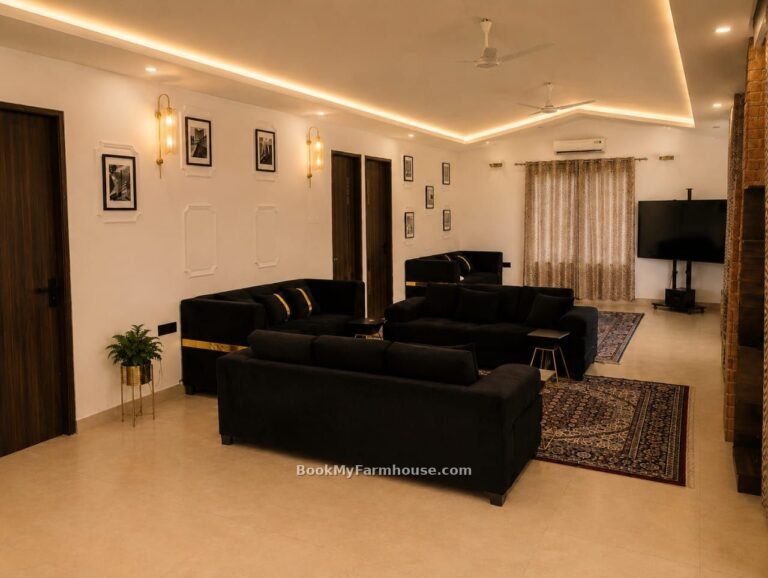 BMF Anand private farmhouse in Noida, living hall