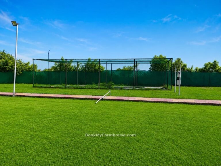 BMF Anand private farmhouse in Noida, cricket nets