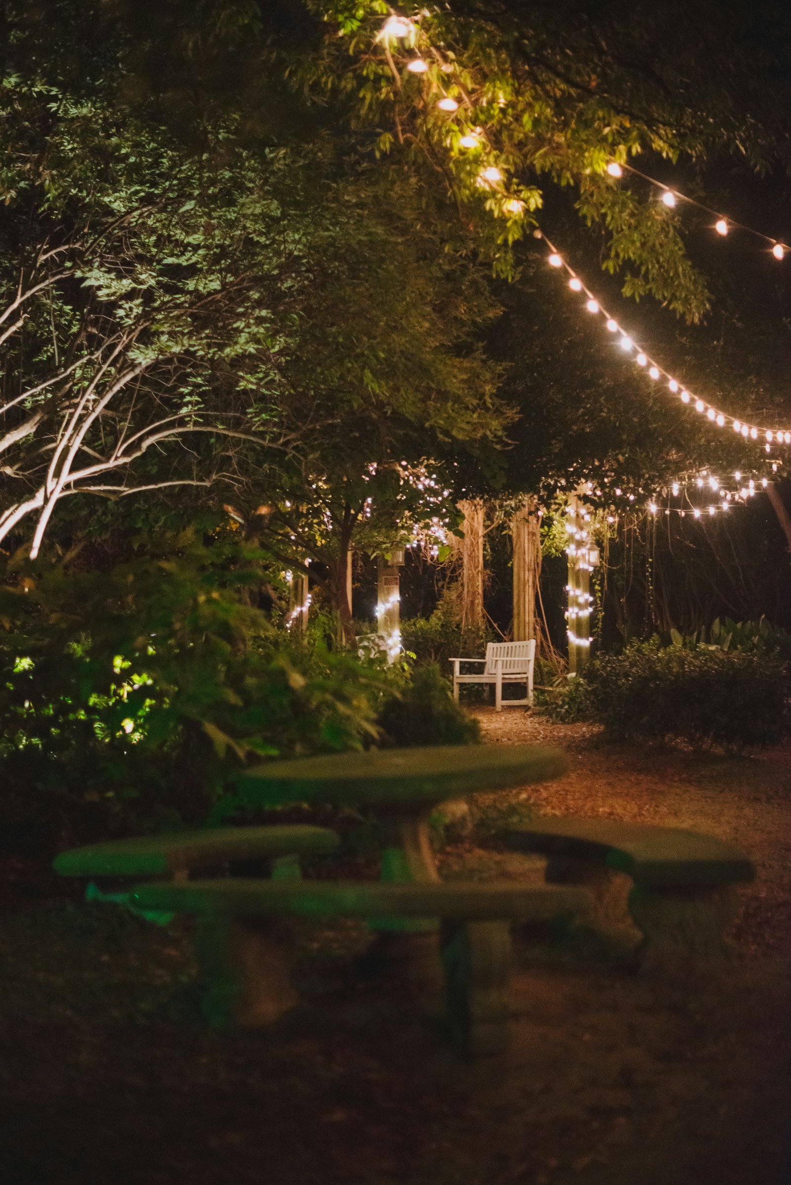 Garden party with fairy lights